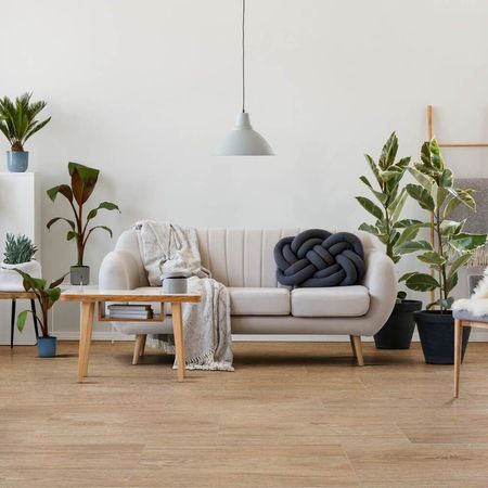 image-b8345e1cb21543c3b858ea1f06fda4c1