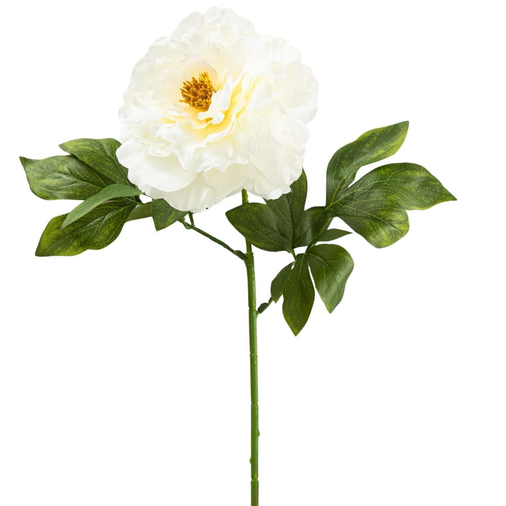 Rosa Blanca DECO HOME Santorini