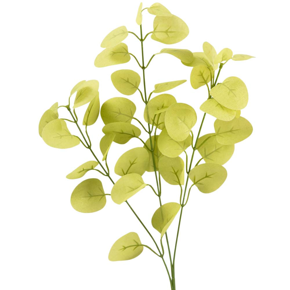 Arreglo DECO HOME Verde Jardin Encantado