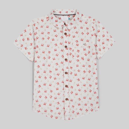 image-0cae6930f9544ce5b9302fef47e25a73