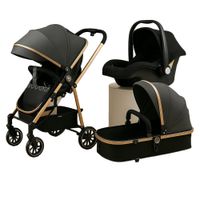 Coche Moisés Multifuncional + Silla de Paseo Gris