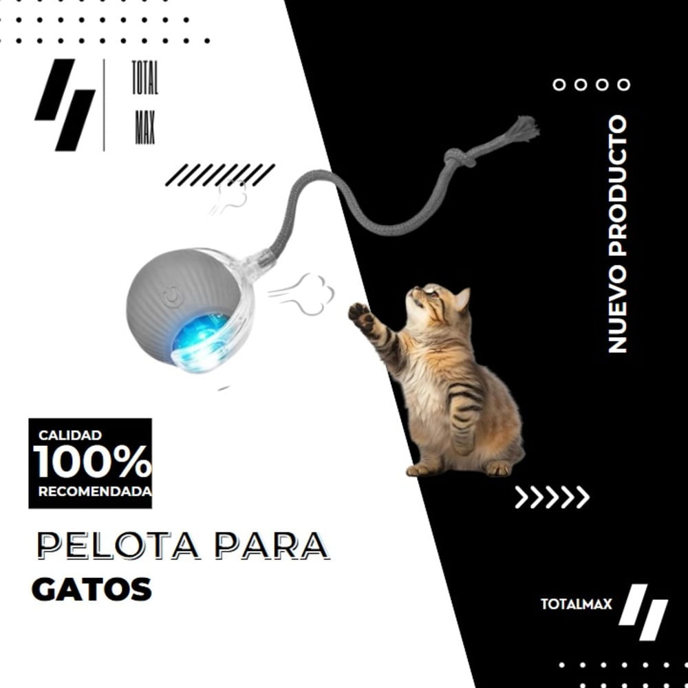 PELOTA PARA GATOS