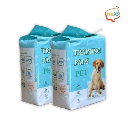 Pack Pañales para mascotas Talla L  80 unidades