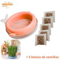 HIERBA GATERA MACETA BALLENITA - PARA GATOS - ROSA SALMON