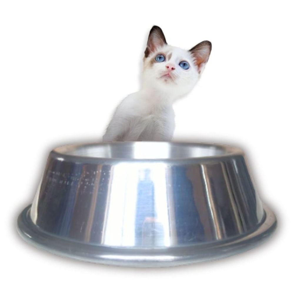 PLATO DE ALUMINIO PARA MASCOTA GATO.