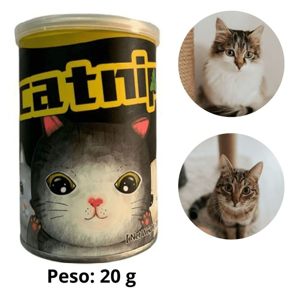 CATNIP PARA GATO EN LATA x 20 g.