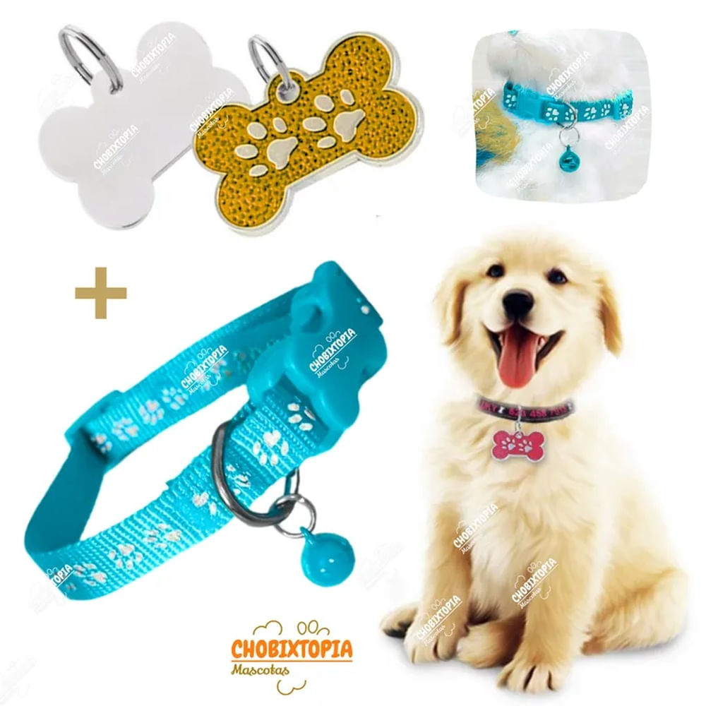 PLACA Y COLLAR P-MASCOTAS C-CASCABEL - DORADO y CELESTE