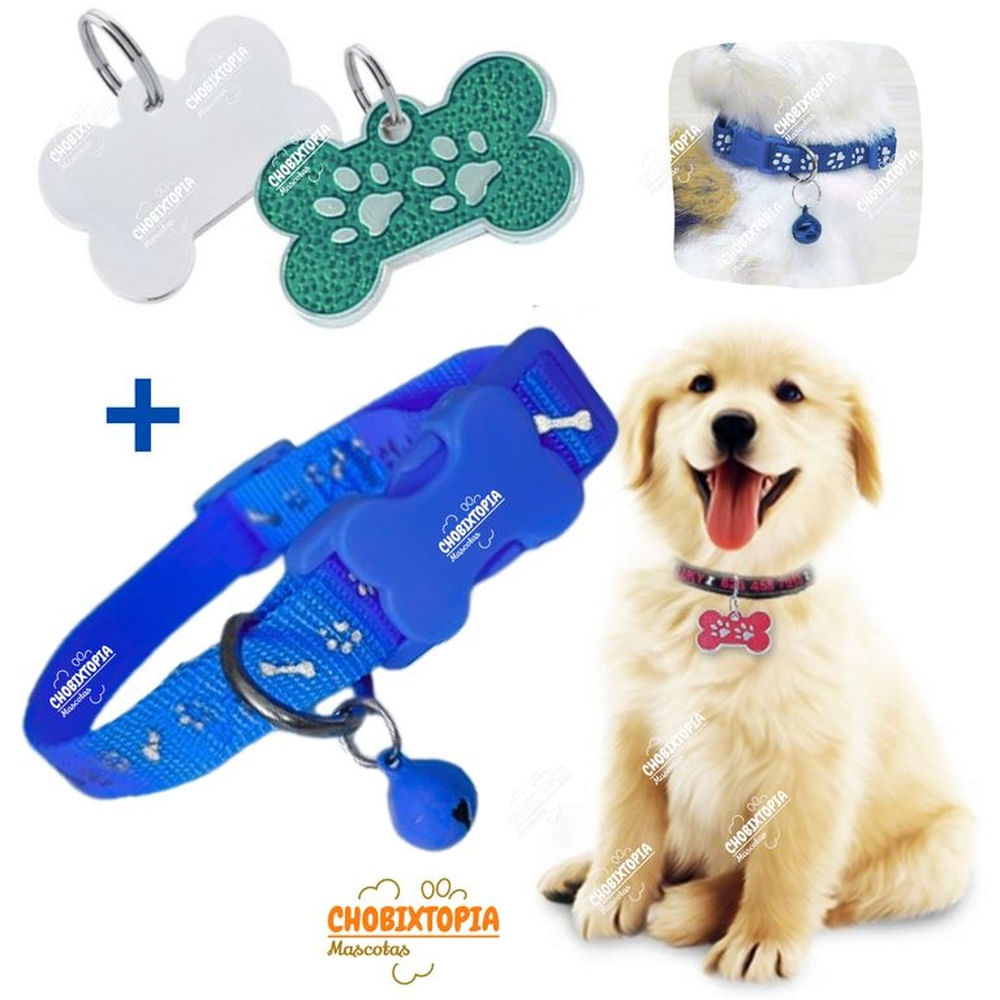 PLACA Y COLLAR PARA MASCOTAS CON CASCABEL - VERDE y AZUL