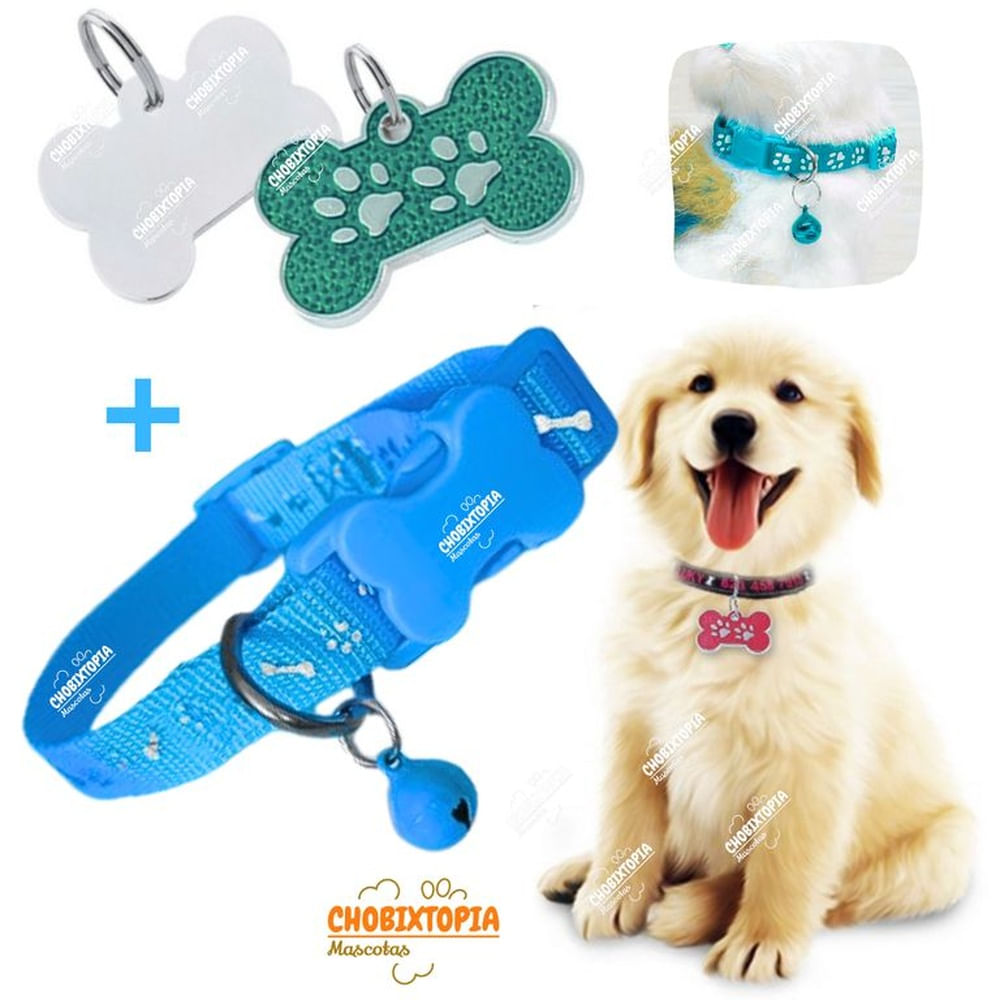 PLACA Y COLLAR PARA MASCOTAS CON CASCABEL - VERDE y CELESTE