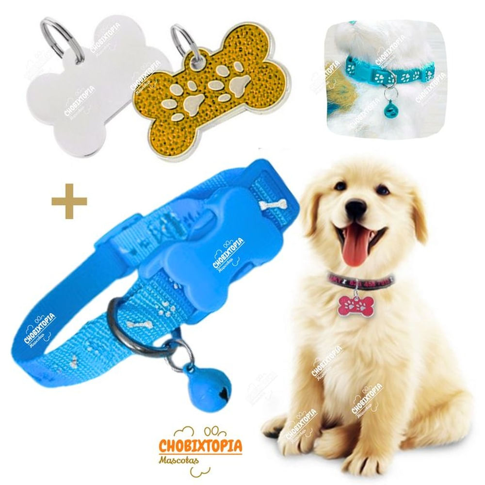 PLACA Y COLLAR PARA MASCOTAS CON CASCABEL - GOLDEN y CELESTE