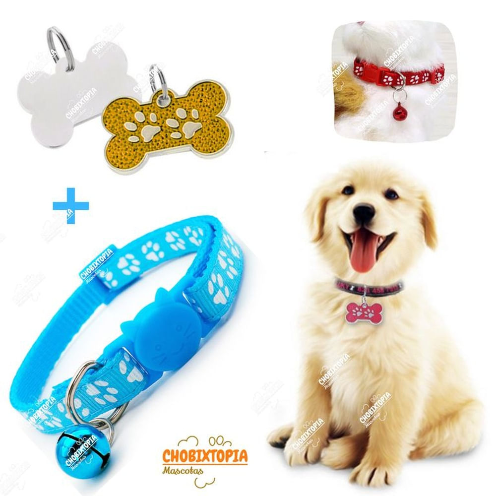 PLACA Y COLLAR PARA MASCOTAS CON CASCABEL - CELESTE Y DORADO