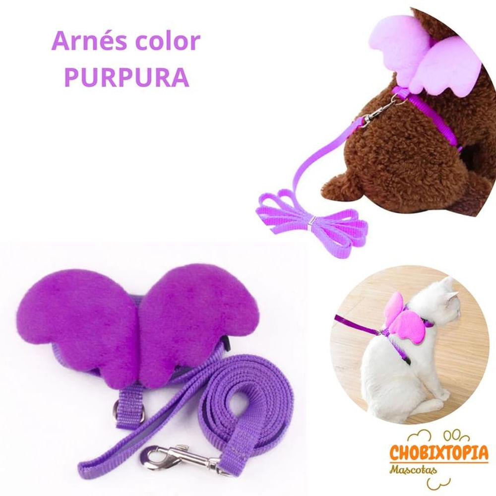 ARNES CON ALAS Y CORREA TALLA XS - PURPURA