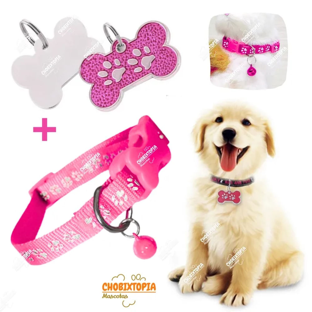 PLACA Y COLLAR P-MASCOTAS C-CASCABEL - ROSADA FUCSIA