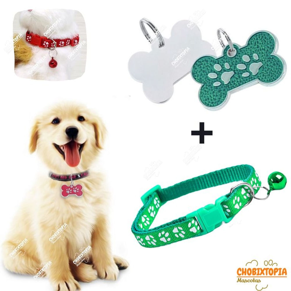 PLACA Y COLLAR PARA MASCOTAS CON CASCABEL - VERDE
