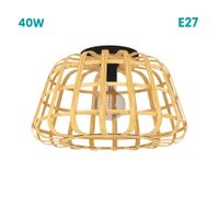 LAMP DE TECHO MONTEZUELO 1X40W H265 D450
