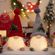 imageUrl_1