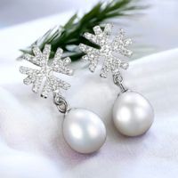 Arete Encanto de Nieve Plata 925