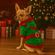 imageUrl_1