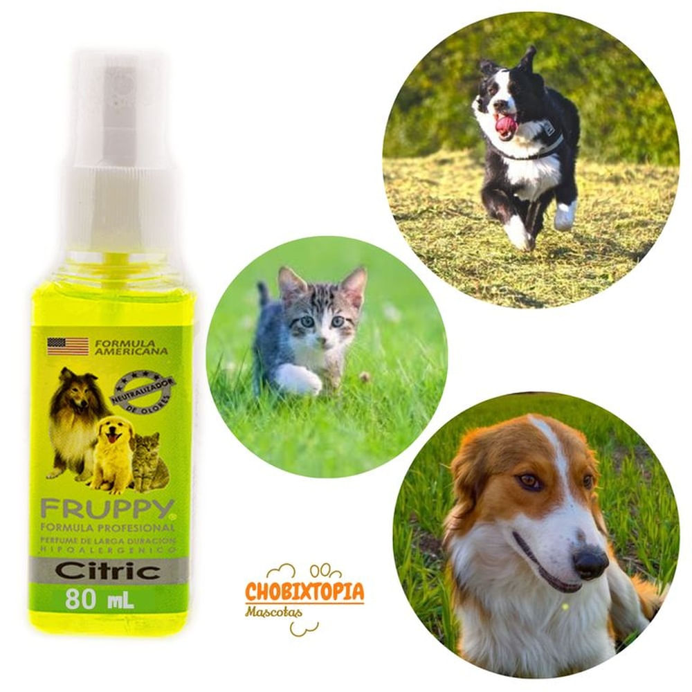 COLONIA PARA MASCOTA FRUPPY CITRIC x 80 mL