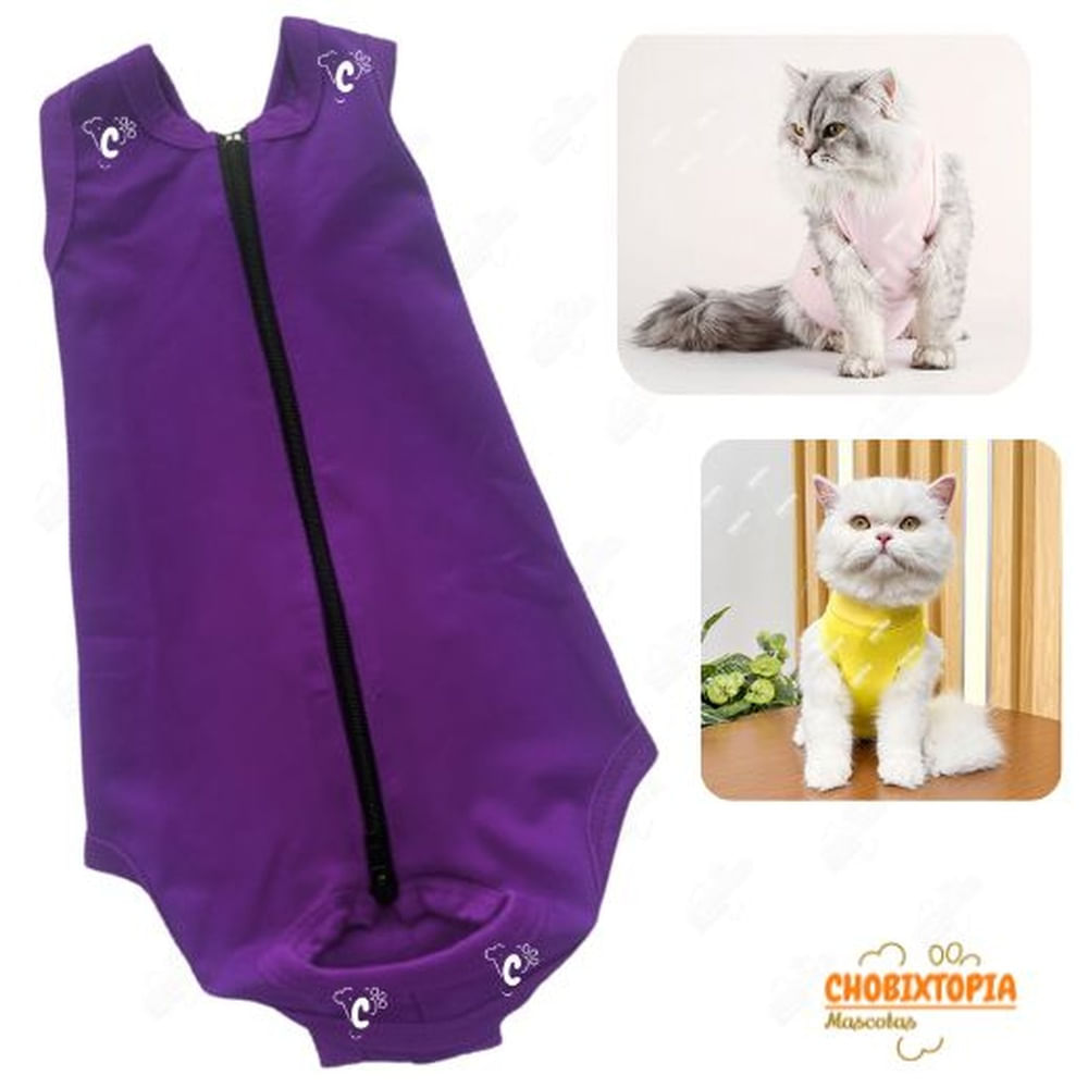 FAJA POST OPERATORIA MASCOTA-PERRA-GATA TALLA S-PURPURA