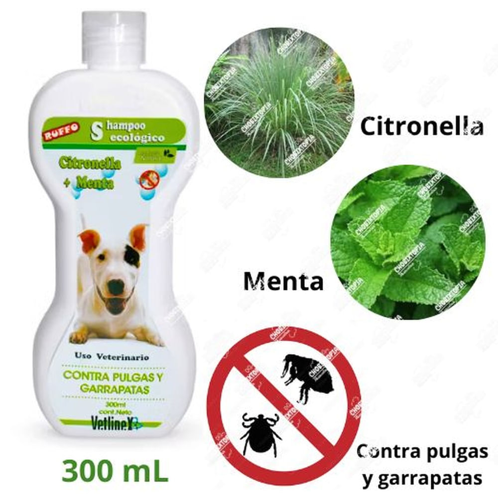 SHAMPOO CONTRA PULGAS Y GARRAPATAS ECOL X 300 ML