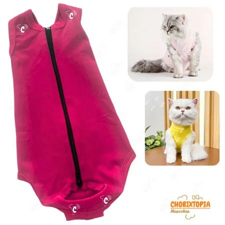 FAJA POST OPERATORIA MASCOTA-PERRA-GATA TALLA S-CORAL CORAL