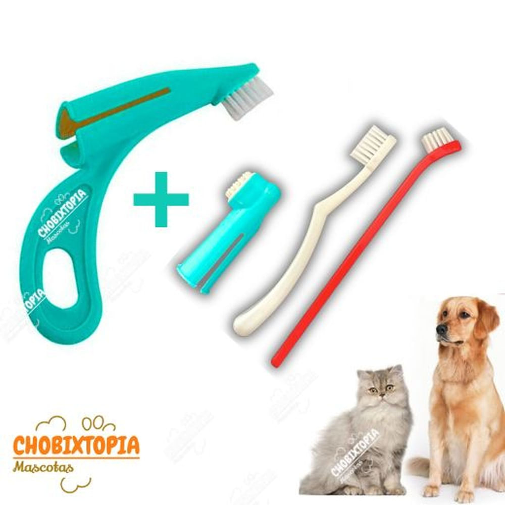 CEPILLO DENTAL 4 PACK - DEDAL TURQUESA