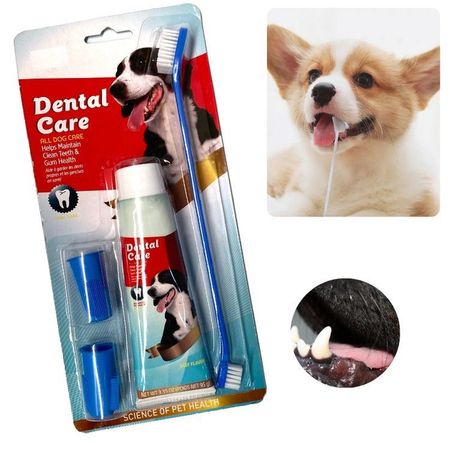 KIT CEPILLO DE DIENTES Y PASTA DENTAL-PERROS Y MASCOTAS