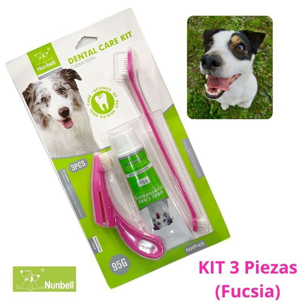 KIT CEPILLO DE DIENTES+PASTA DENTAL PERROS Y MASCOTAS FUCSIA