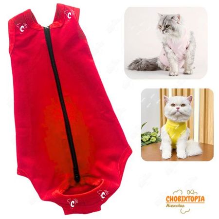 FAJA POST OPERATORIA MASCOTA-PERRA-GATA TALLA L-ROJA