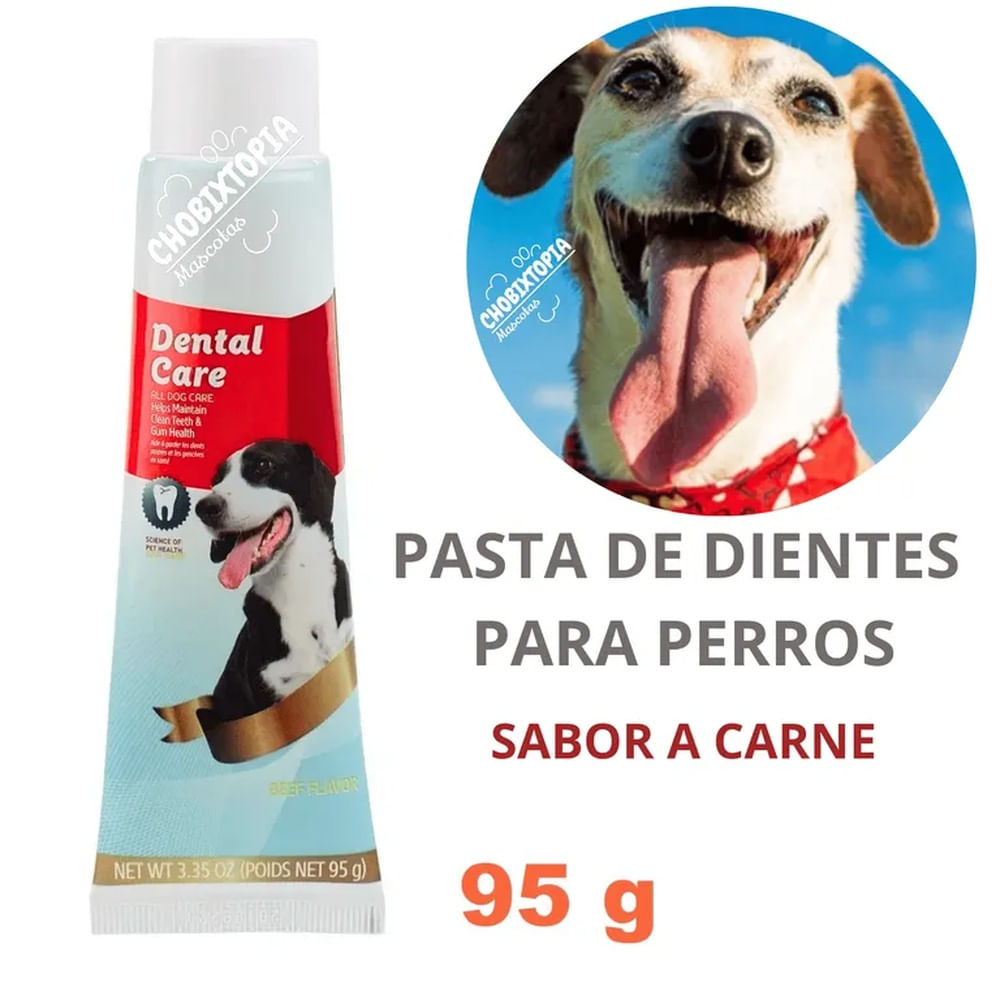 PASTA DENTAL PARA PERROS Y MASCOTAS DENTAL CARE x 95g