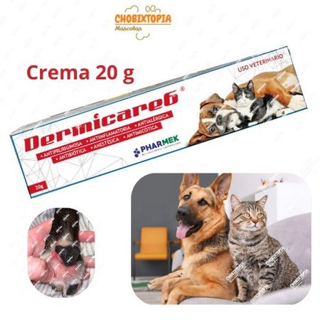 DERMICARE 6 CREMA X 20 G
