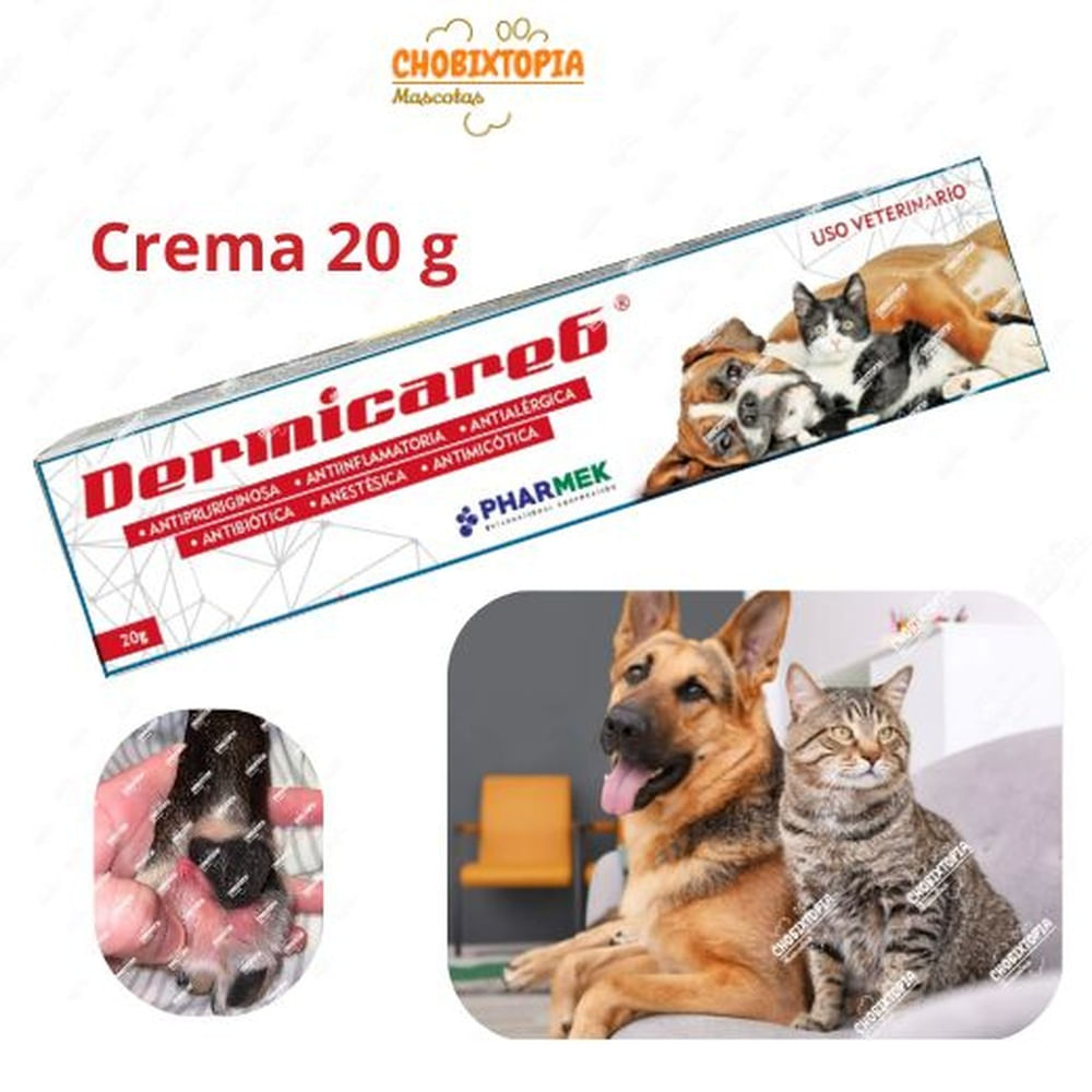 DERMICARE 6 CREMA X 20 G
