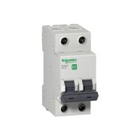 Interruptor llave Termomagnética 2x20A llave térmica Schneider