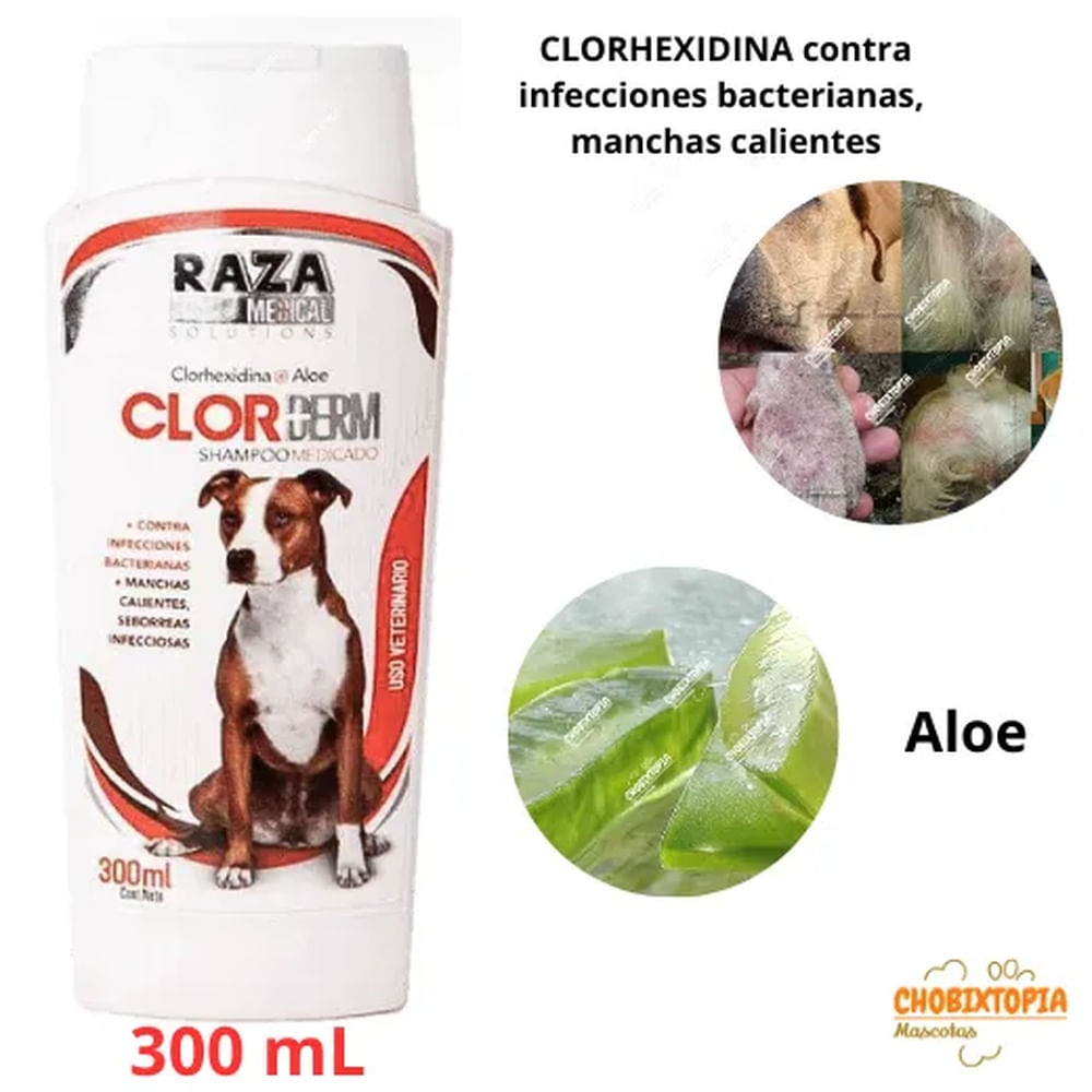 SHAMPOO RAZA MEDICADO PARA PERRO CLORDERM X 300 ML