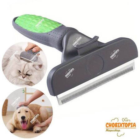 image-898c7594f53e410faf0c0f06a0c5e483