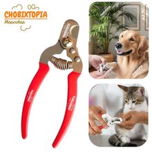 image-228736429d9e40d89b676ae213c5936f