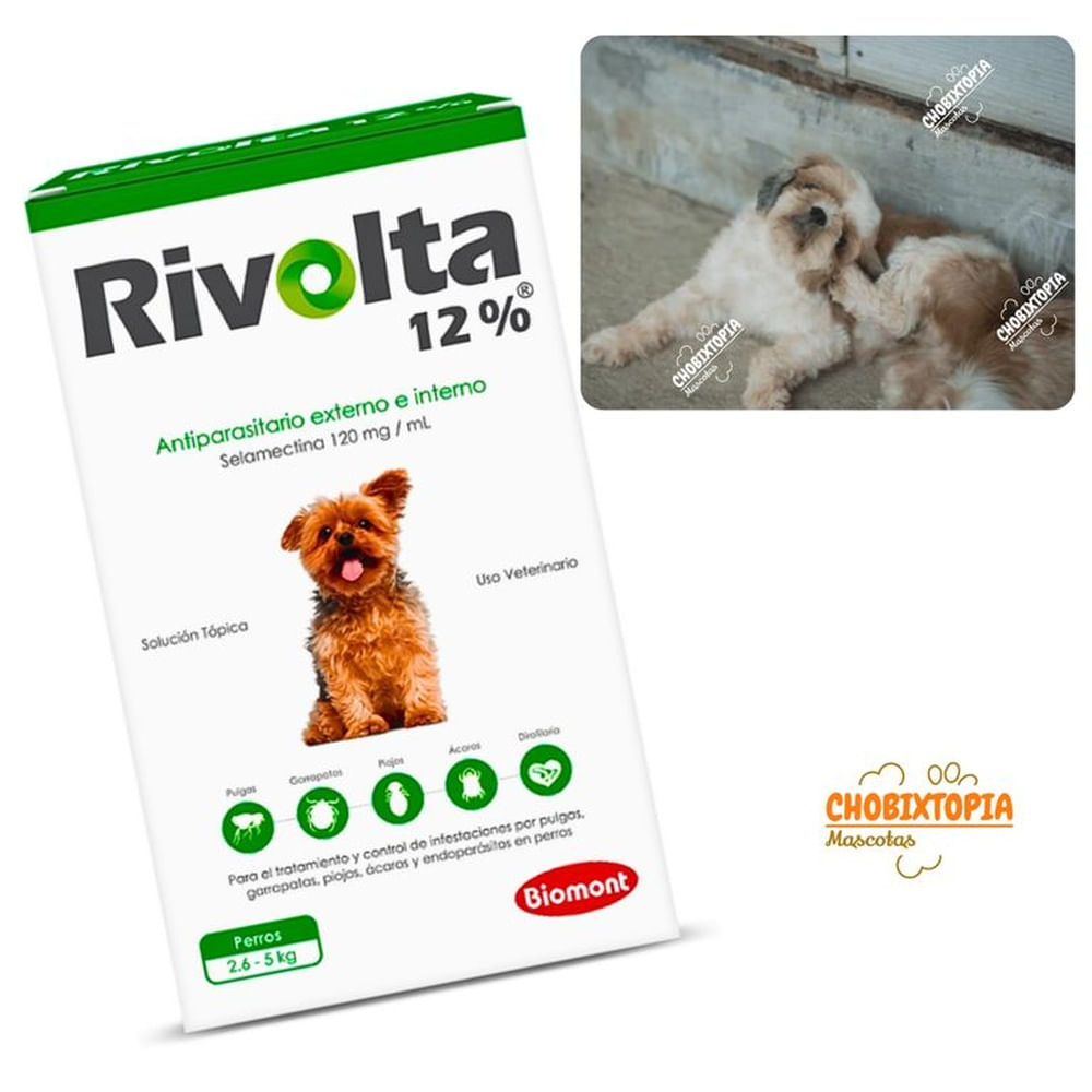 RIVOLTA 12% PERROS 2.6 A 5KG  - VERDE