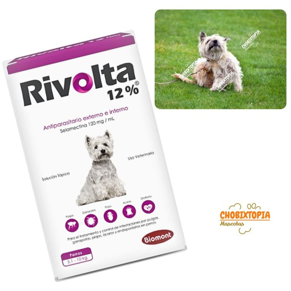 RIVOLTA 12% PERROS 5.1 A 10KG  - VIOLETA