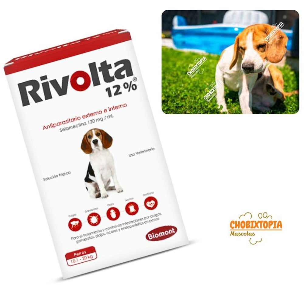 RIVOLTA 12% PERROS 10.1 A 20KG - ROJO