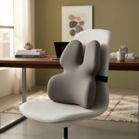 Cojin Lumbar Ortopedica de Espuma Viscoelastica Para Asientos Color Gris BC-066