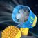 imageUrl_8