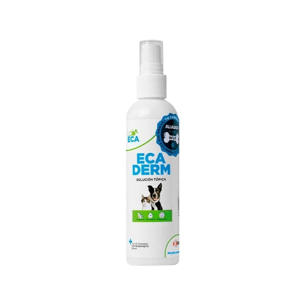 Antibacterial Ecaderm Spray 120 ml