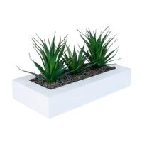 Aloe Vera 17cm Atmosphera