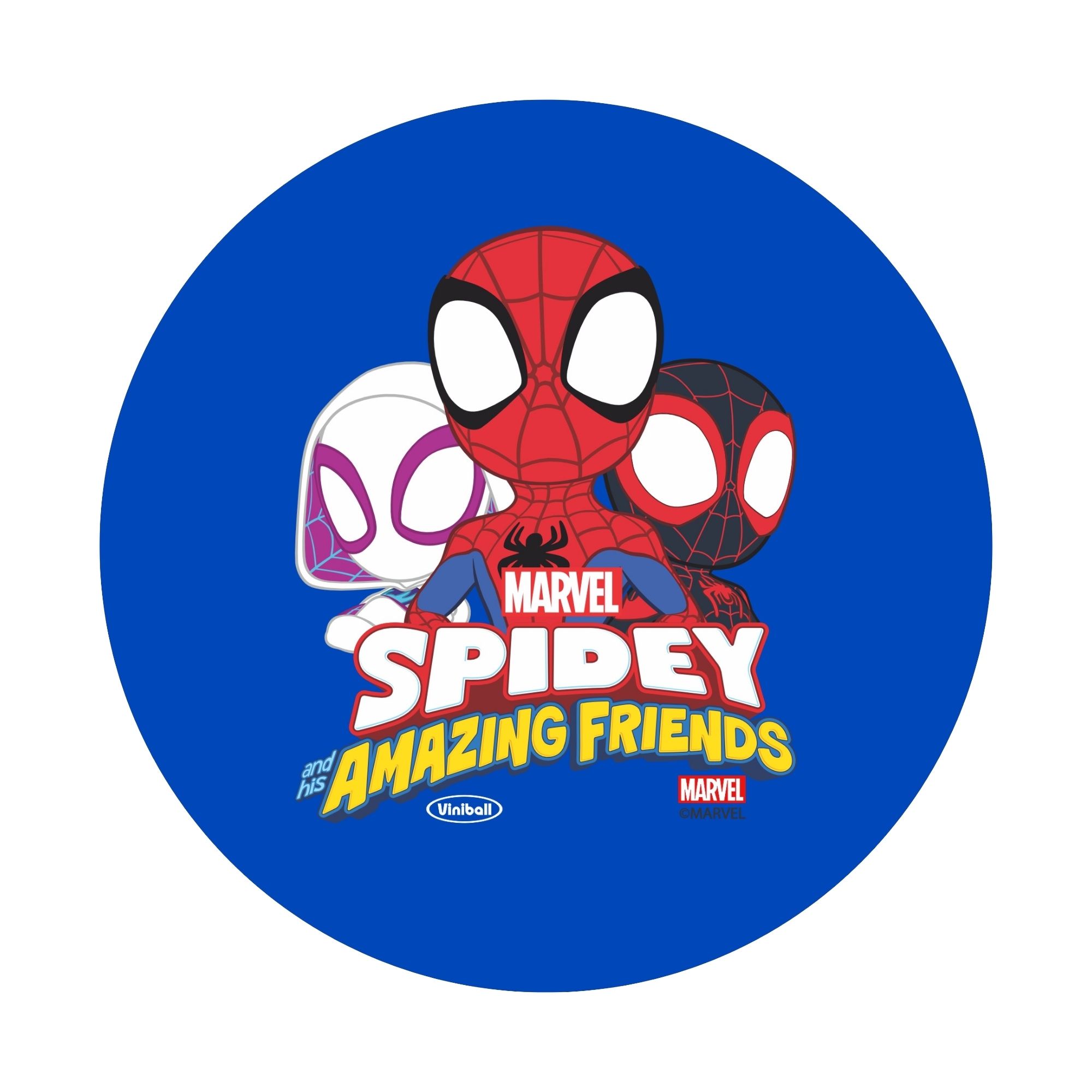Pelota Spidey número 5.5 VINIBALL