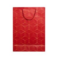 SETX6 BOLSAS DE REGALO 30CM SURTIDOS