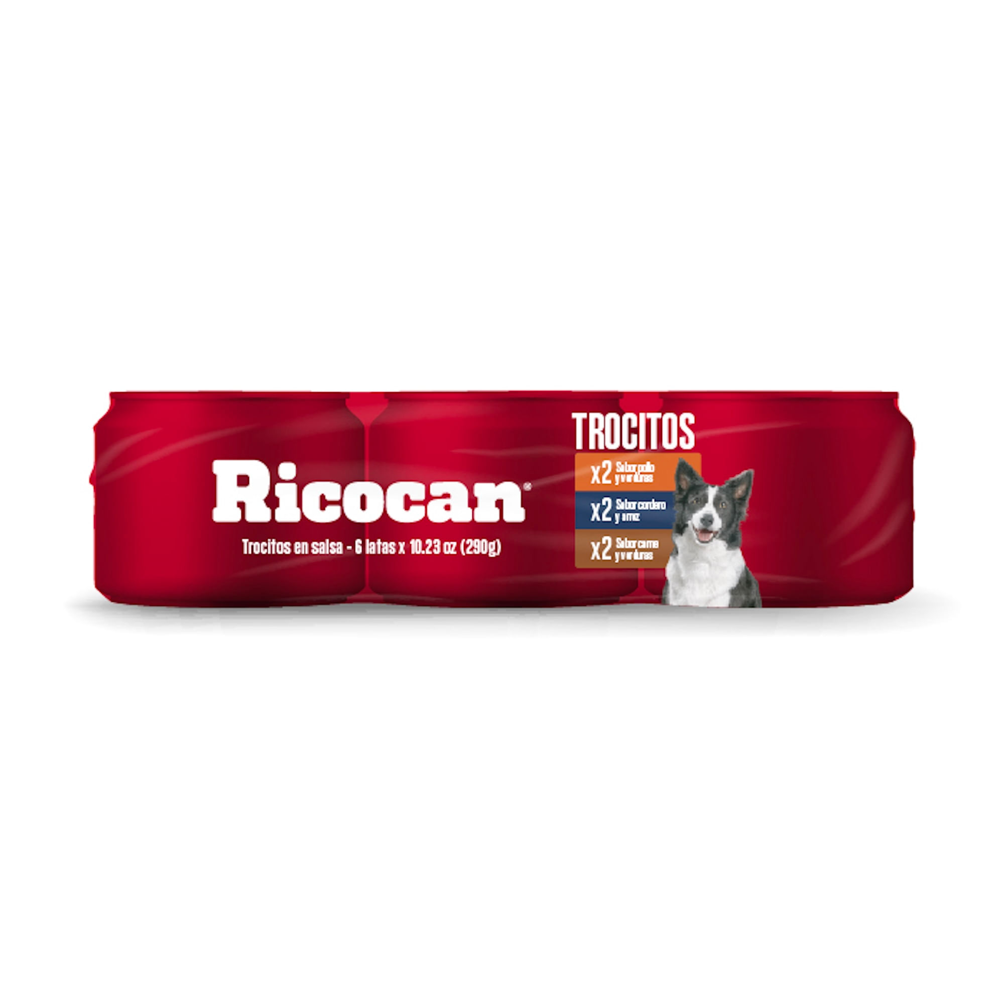 Alimento para Perro RICOCAN Adulto Sabores Variados Lata 290g Paquete 6un