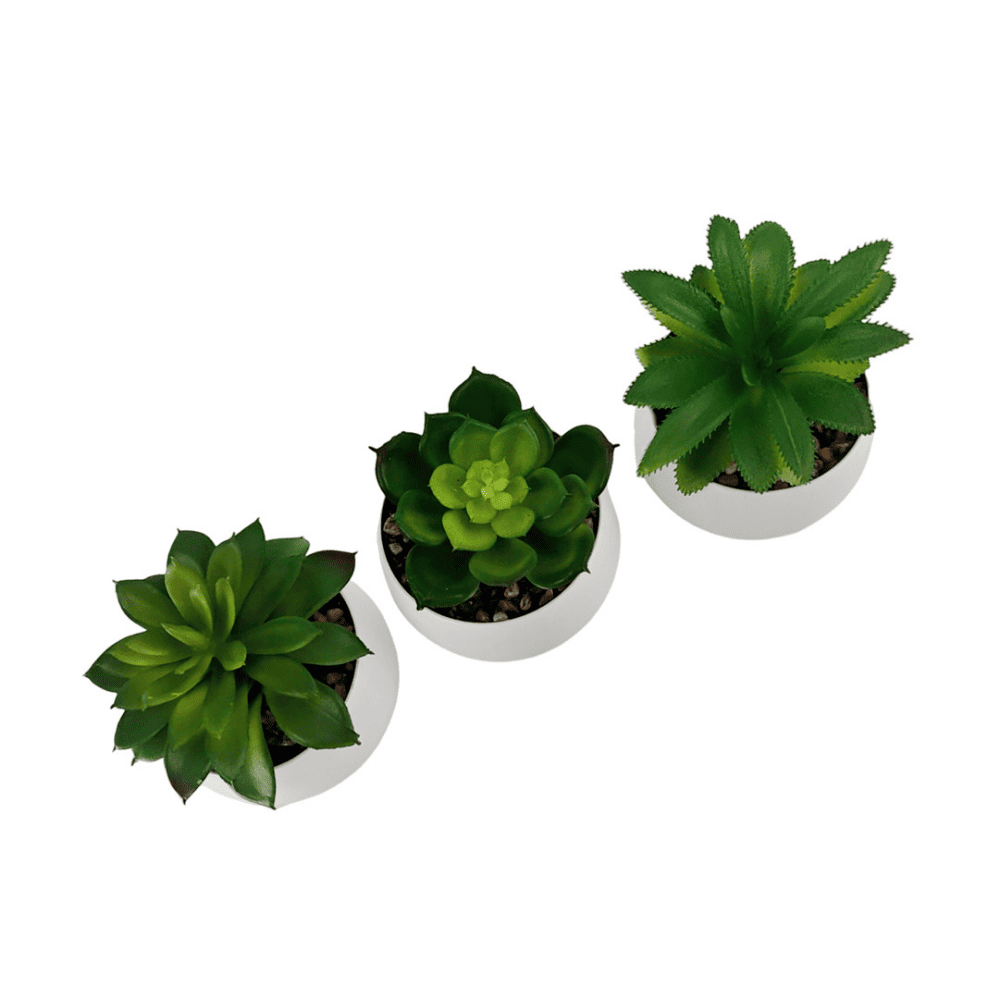 Set de suculentas artificiales x 3 Orange