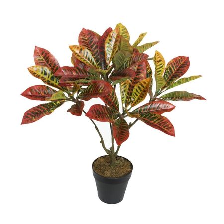 image-ac4de15c73ea4ae0b4fd161676b170dc