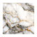 image-7da10d383f0842b5834ee2b66c58f6b0